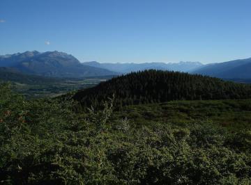 Campo · 210000m² · Chacra - Mallin Ahogado