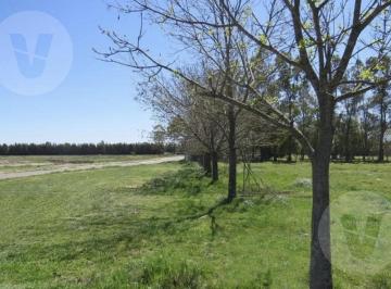Terreno · 1015m² · Lote en Venta - Barrio Santa Ines III, Canning