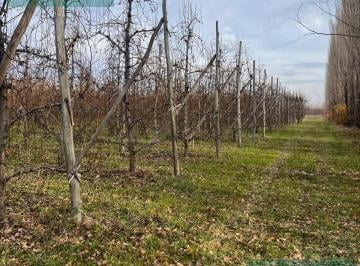Campo · 1000000m² · Chacra en Venta (Ingeniero Huergo)