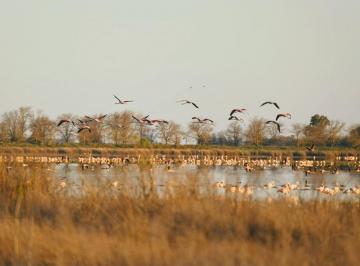 Campo de 7 ambientes, San Miguel del Monte · Chacra San Miguel del Monte