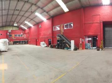 Depósito · 800m² · Deposito en Alquiler / Galpon Industrial / Ruta 25 - Matheu