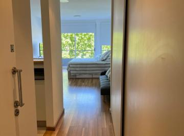 Departamento de 1 ambiente, Palermo · Amplio Studio Zona Palermo Hollywood