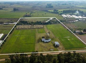 Quinta vacacional · 181m² · 1 Ambiente · Venta Chacra con Reserva Natural San Bautista Canelones