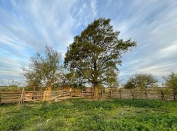 MBO-MBO-83_2 · Campo en Venta