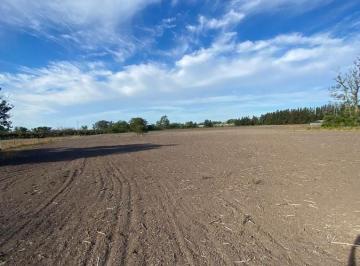 MBO-MBO-116_2 · Chacra en Venta