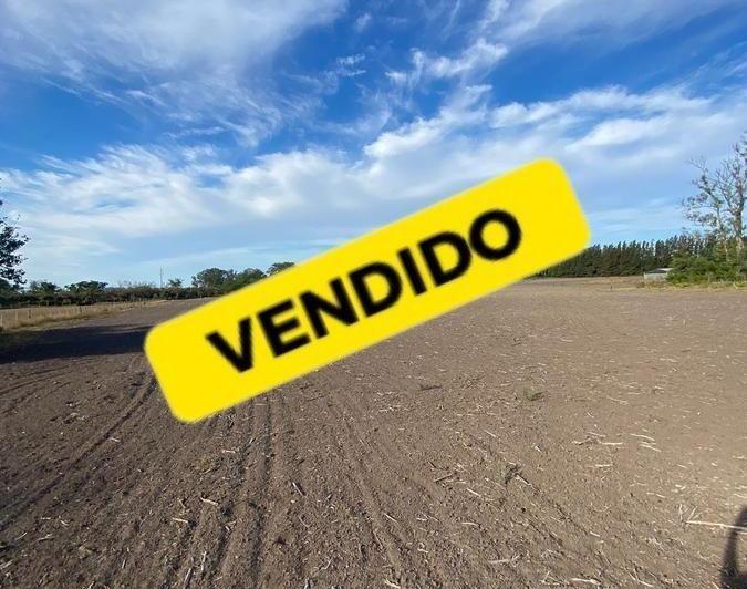 Terreno · 2147483647m²