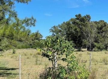 MBO-MBO-135_2 · Lote en Venta