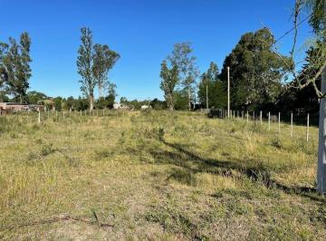 MBO-MBO-154_2 · Lote a La Venta en Ranchos