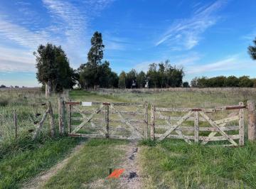 MBO-MBO-166_2 · Campo Hectáreas |. | Ruta 2
