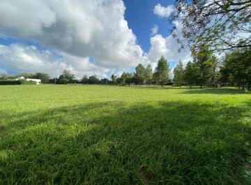 Terreno · 1748m² · Terrenos en Venta Santa Apolonia - Cerrillos