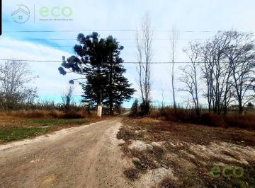 Terreno · 30ha · Eco Vende Chacras Aledañas a Escuela N°79 "Guido Brevi" Allen