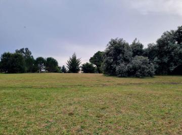 SCB-SCB-338_2 · Lote. | Av del Silencio Al 100