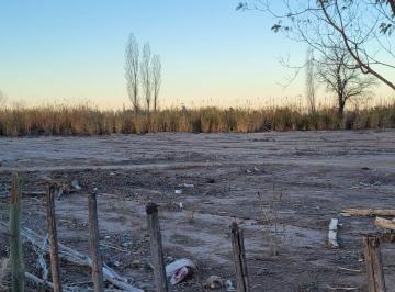 Terreno , San Martín · ¡Vende Finca! San Martín, Mendoza.
