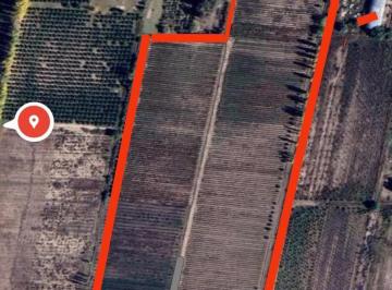Campo · 250m² · 3 Ambientes · Chacra de 9 Ha, con 2 Casas, Viñedos y Ciruelos a 10 Kms de San Rafael