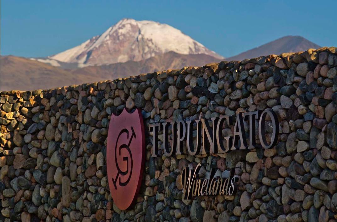 Tupungato,  Gualtallary, Mendoza