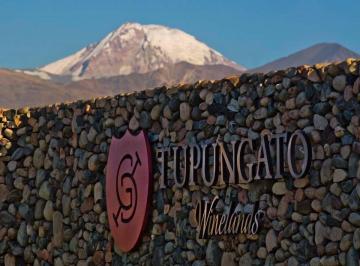 Terreno , Gualtallary · Venta Lote Tupungato Winelands Country Club