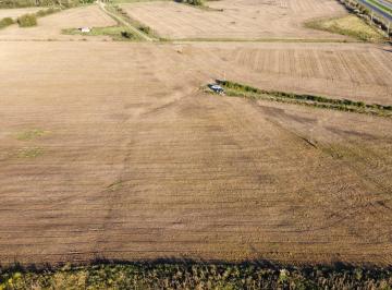Campo · 529000m² · Campo en Marcos Paz