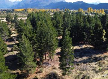 vistas · Parcelas Desde 1ha - Los Cipreses