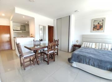 Departamento · 33m² · 1 Ambiente · Alquiler Temporal 33 E/ 12 y 13