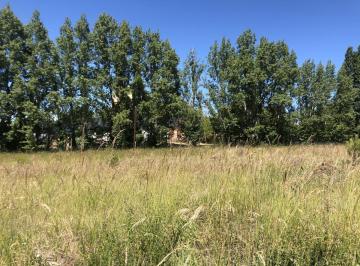 Terreno · 946m² · Terreno - Esquel