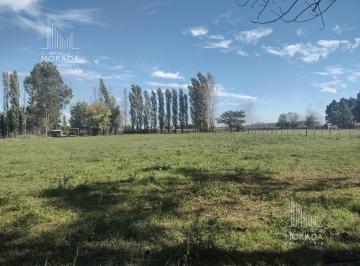 Terreno · 5000m² · Terreno en Venta Haras El Malacate Exaltacion de La Cruz