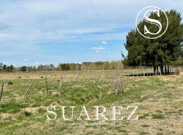 Campo · 10000m² · 1 Ambiente · Campo de 1ha en Venta, Chacras Don Luis