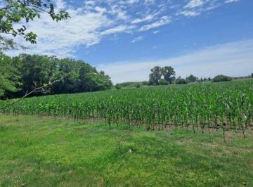 Terreno · 460000m² · 46 Ha de Campo en Zona Rural - Lobos