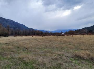 Campo · 20m² · El Hoyo - Chacra 2 Hectàreas 100% Productivas - El Pedregoso - $140.000 Usd