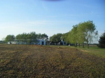 Campo · 509m² · 3 Dormitorios · Campo Venta Centro Agrícola El Pato Casa Galpones Arboleda