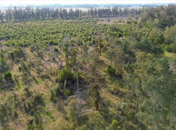 Terreno · 786m² · 1 Ambiente · Venta Terreno Punta del Este, Eden Rock