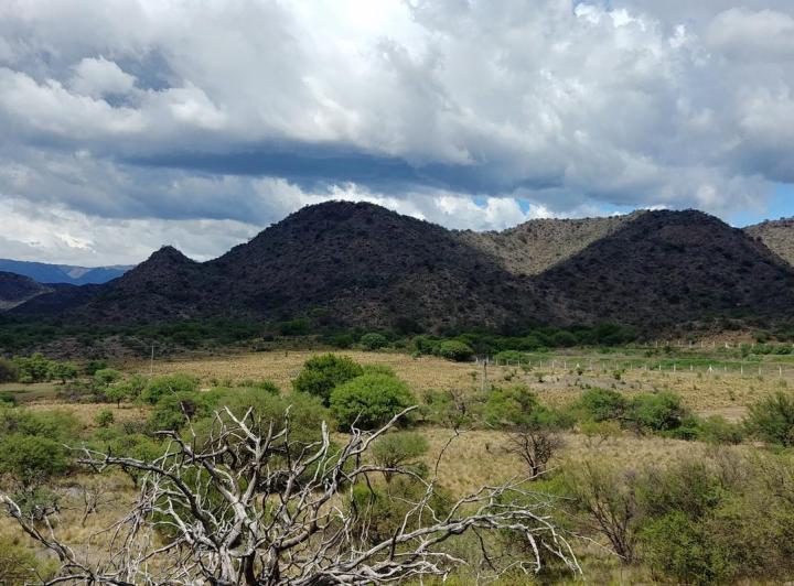 Campo · 47220m²