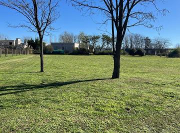Campo , Luján · Excelete Lote Interno Comarcas de Lujan La Elina