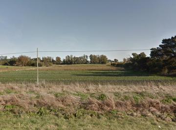 Campo · 90000m² · Latorre Prop Vende Campo Sobre Ruta 226