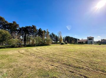 Terreno · 824m² · Lote en El Cazal