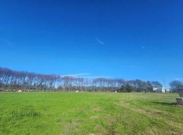 Terreno · 1000m² · Venta de Lote en General Rodríguez Club de Campo Castelo Real