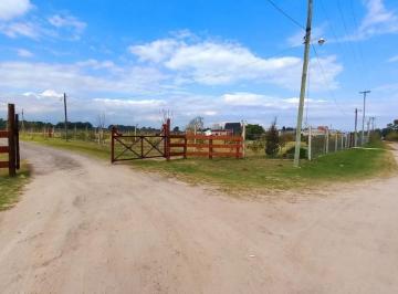 Terreno · 700000m² · Campo en San Vicente.