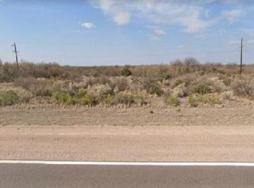 Campo , General Alvear · Ideal Inversion! Apta Para Todo Tipo de Cultivo, o Fines Turisticos en Mendoza