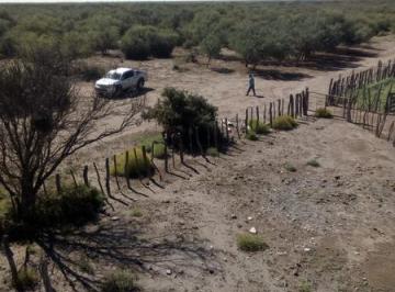 Campo , General Alvear · Campo de 3921 Ha Apto Varios Destinos en Gral Alvear Mendoza