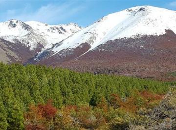 Campo de 5 ambientes, Leleque · Venta de Campo Forestal, Ganadero en Leleque, Chubut