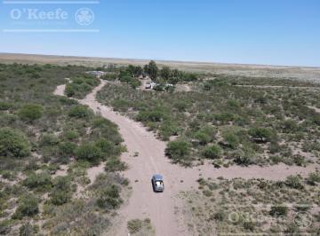 Campo · 150m² · 4 Ambientes · Campo en Venta de 28.000 Has en Gral Alvear, Mendoza. Armado de Cría/recría