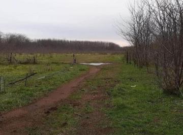 Terreno · 20000m² · Terreno de 2 Ha en Calle 156 y 4 (Entre Las Vías) ¡Retasado