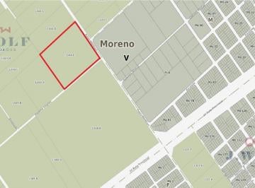 Campo · 51255m² · Campo - Cuartel V