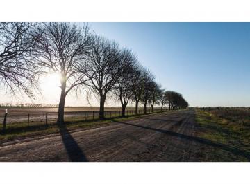 Terreno · 450m² · Terreno Cercano Ao12 - Ibarlucea - Cinco Lagos - Barrio Cerrado - Ruta 34 Km 10 - Lote 225
