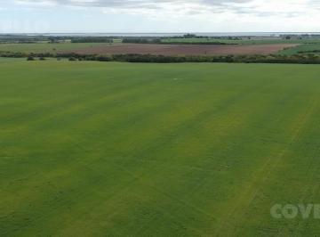 Campo · 780875m² · Campo en Venta en Carmelo