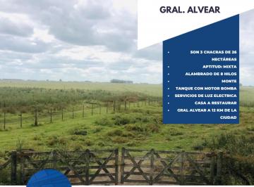 Campo · Campo - General Alvear