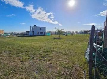 Terreno · 619m² · Terreno Lote en Venta en Santa Elisa, Pilar del Este, Pilar