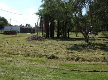Terreno , Fontana · Fontana Acceso - Acceso