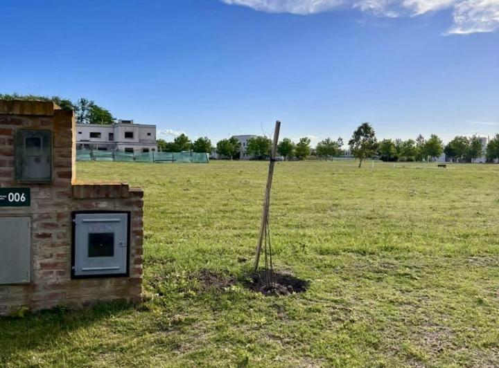 Terreno · 1069m²
