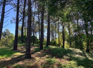 Terreno · 600m² · Terreno Escriturado en Las Gaviotas. Excelente Forestación y Ubicación