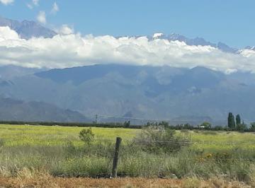 Campo , San Carlos · Viñedos en Altamira